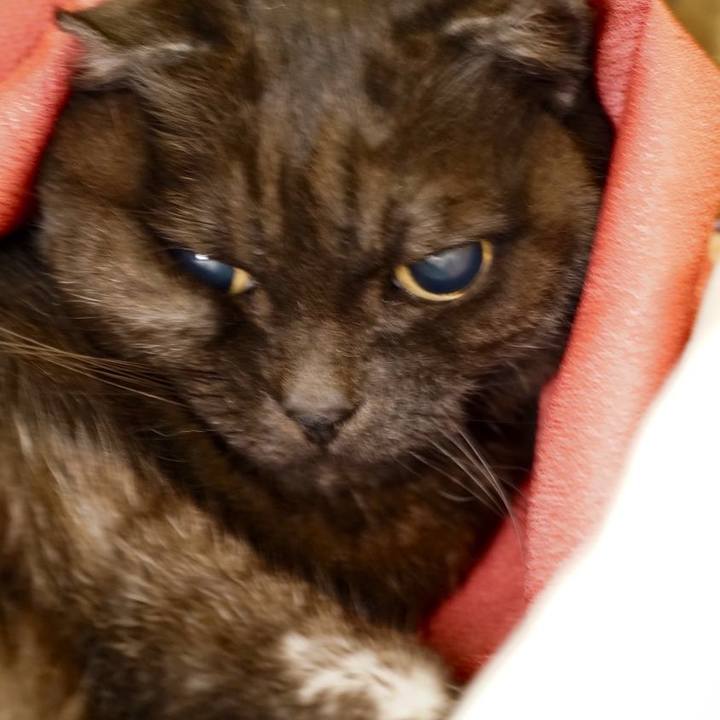 F1edf3af 6afc 418b 92c8 36e14a596128 1643817873757