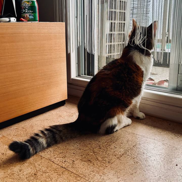 F1ee0b21 a084 4fde 813a c8170dae7d15 1728428605477