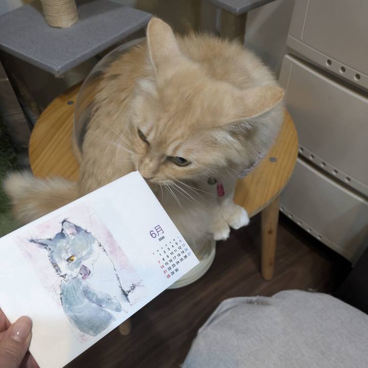 F1ee1a90 3588 4224 a3a3 976210ef4342 1767708610671