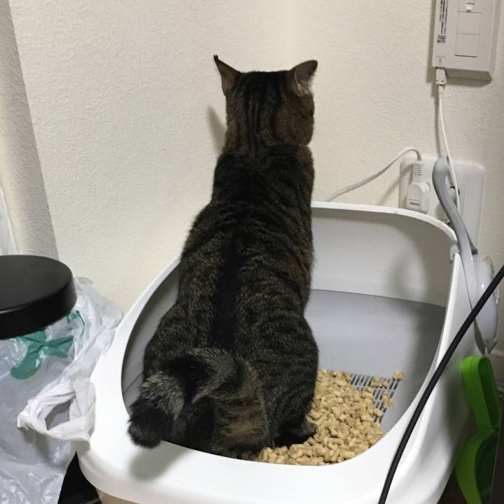 F1ee57a2 c7b5 46dd 8763 660d81057611 1538728610555