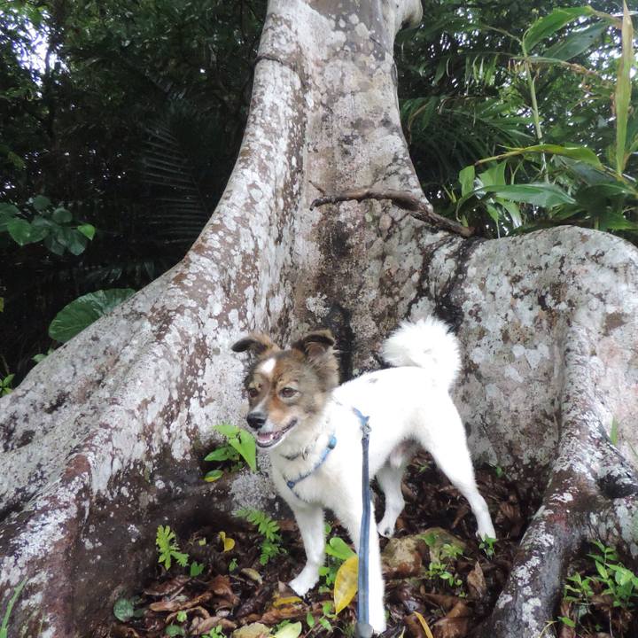 F1ee7db9 0e34 4938 94d6 8557ce9c8e80 1507989677921