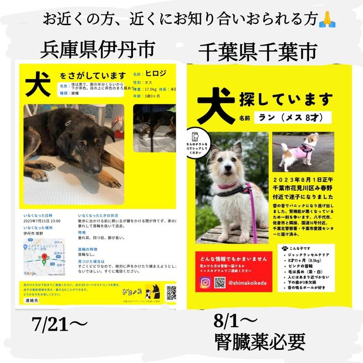 F1ee8340 f20c 4842 a31d 0989fbaa7698 1690960910663