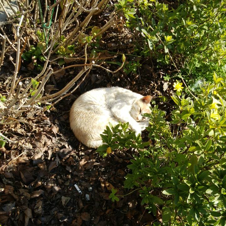 F1eea9c7 b1c7 488d 9518 3caf8a6cebcf 1552121472871