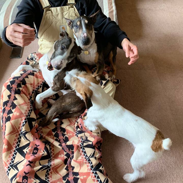 F1eeacf8 9b36 4c5c 90c2 47c454676bfd 1586669493917