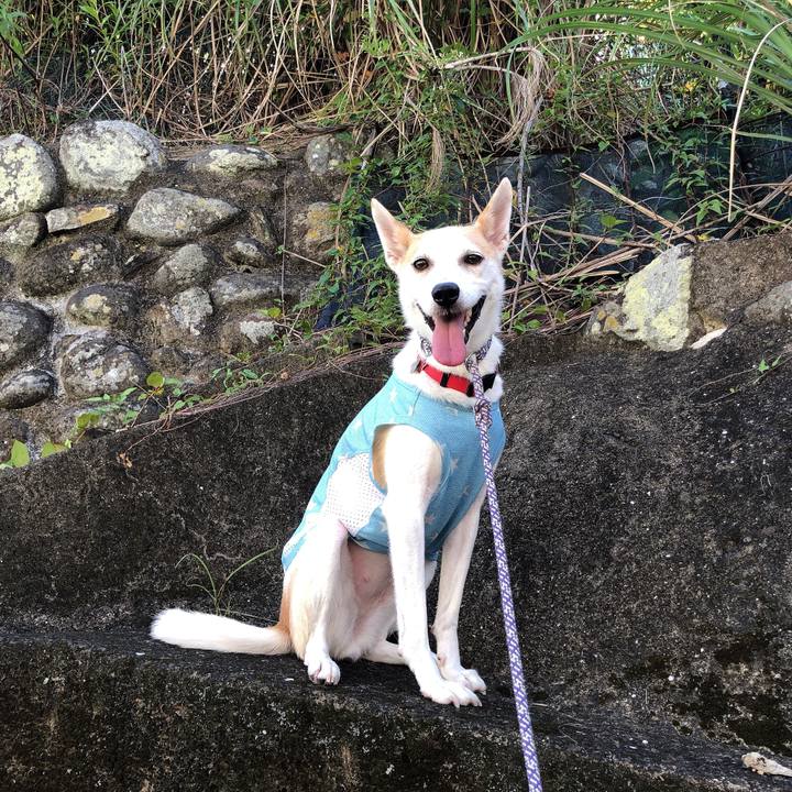 F1eeb386 ffe8 46fe a858 8f6a51e152a4 1597218785395