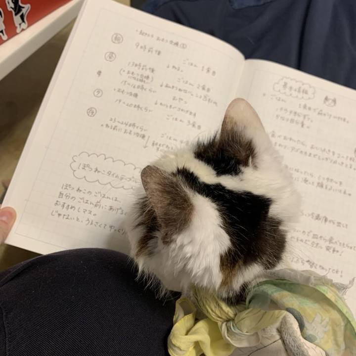 F1ef0cc6 c053 4ce9 9154 f0f9c4d82b2c 1609966061902