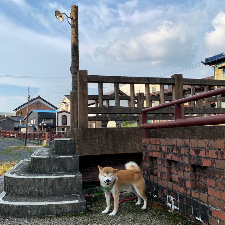 F1ef5067 998f 4214 8b82 7808db135207 1564567852806