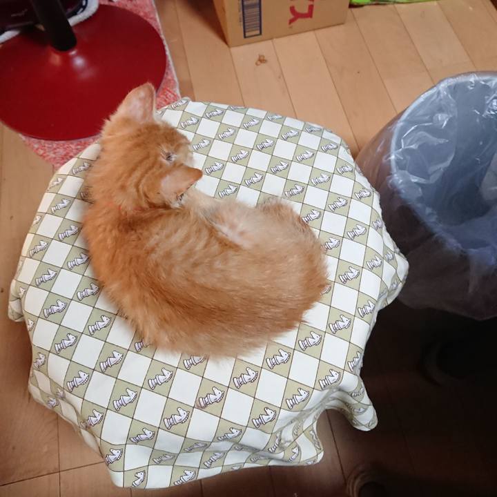 F1ef55db 83a1 4511 bcf7 ddf392c5b26b 1628024134028