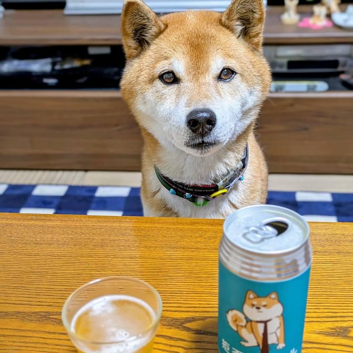 F1ef8c83 d119 47bf a6f1 b3dd0ebae3ee 1743158023651