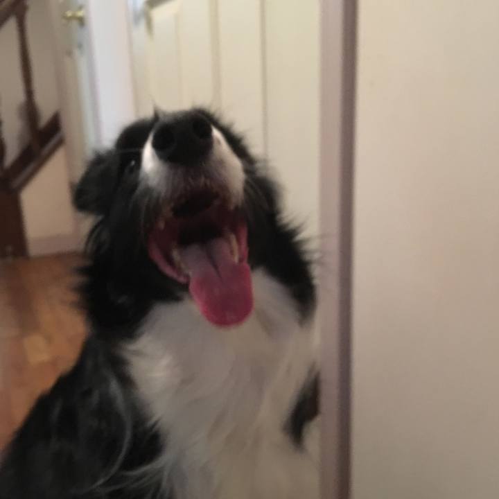 F1efea88 aab6 4ae5 8286 f83619aaaac6 1521773622970