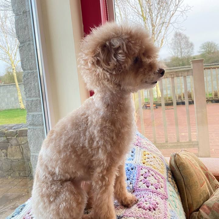 F1eff4bc dcf8 4deb 8808 4a1b93897919 1675530045646