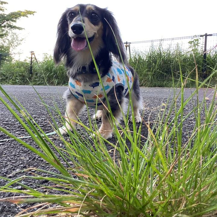 F1f00363 b048 44ad a006 e9eec136182f 1753655570835