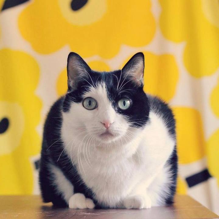 F1f031c4 0e85 4f00 8afa 84f9aece7214 1680780241306