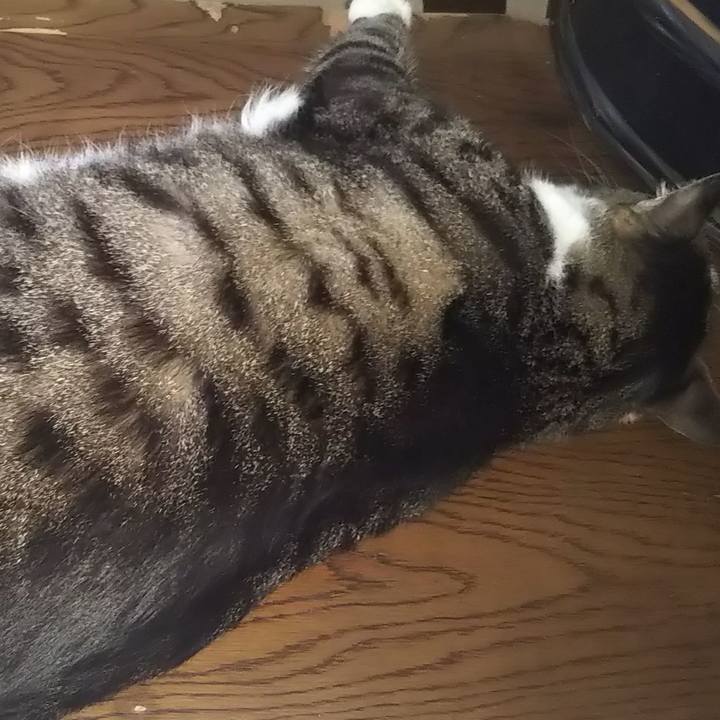 F1f08224 dcba 4de8 b622 f26bba66b515 1625460189145