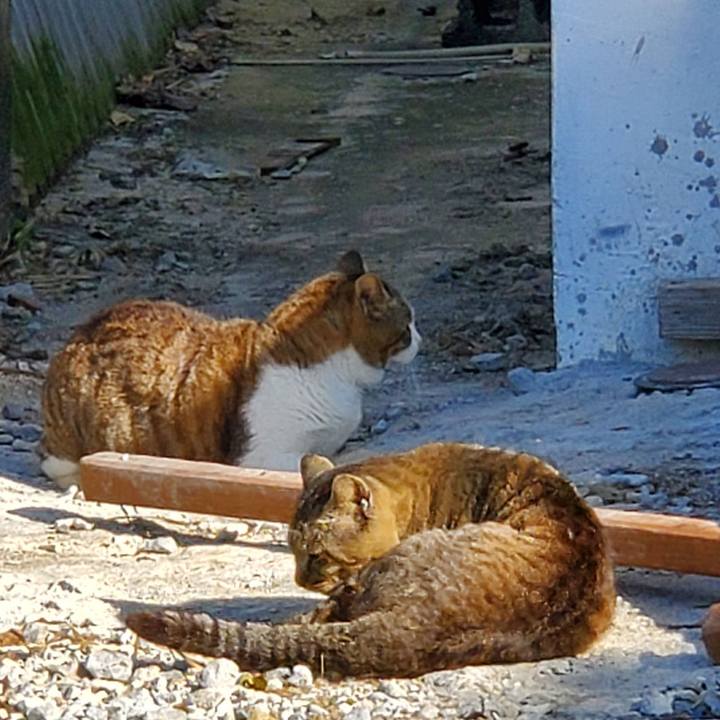 F1f0a2f1 31ba 4f85 8e89 6ea6576fa9c8 1705459742636