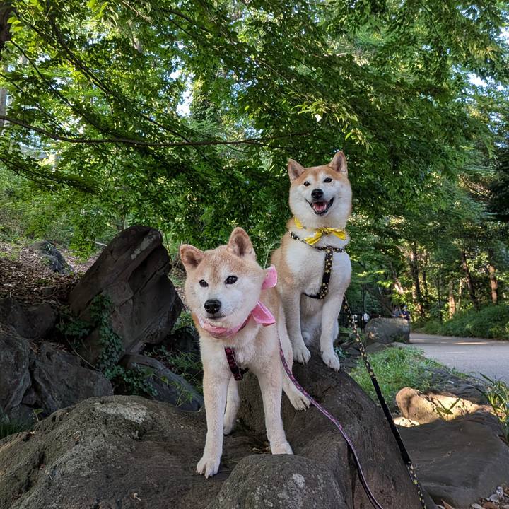 F1f0c084 be07 4dc6 80cf 64fc0fe1aa84 1752108986780