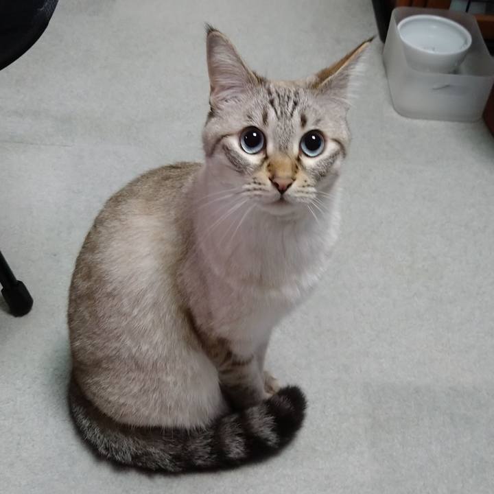 F1f0dc53 93ea 41d4 ac55 2aef4898403b 1633616535848