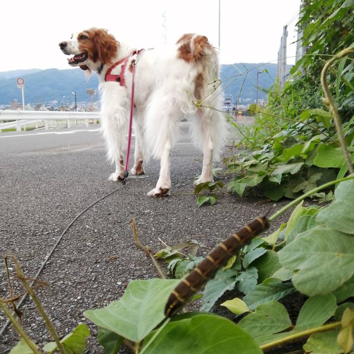 F1f0eadb 7642 4d39 b140 b158d6c72ca6 1631789784599