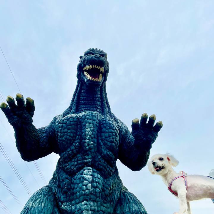 F1f0ec5d 0f68 45e1 a36d dd6645e7e222 1621942600996