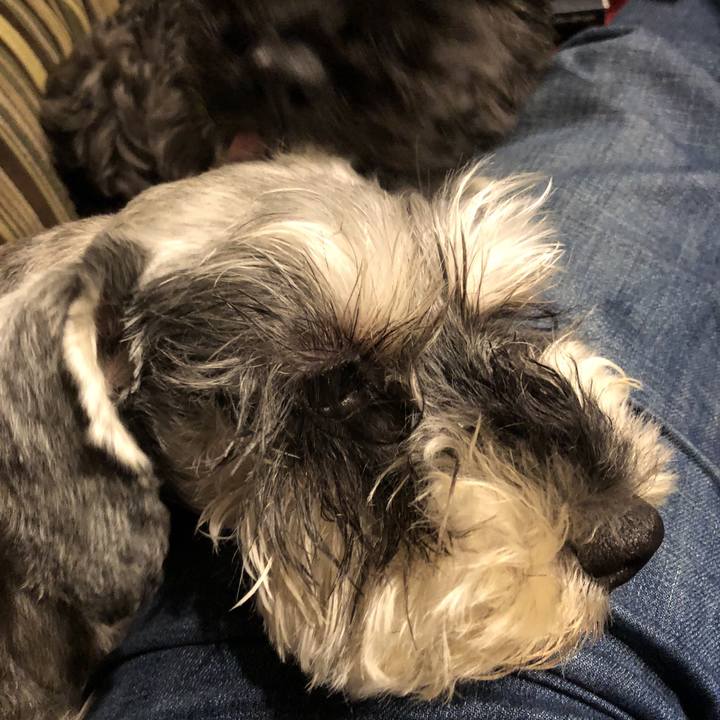 F1f12464 91d2 43f9 9bb7 6c2fb3a6e984 1531398488800