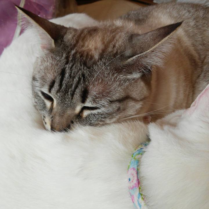 F1f12cfa c20e 4265 a81a b38289326d5d 1520996280578