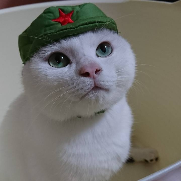 F1f148ab 2891 4305 a560 7fa12c4b7a84 1541520041970