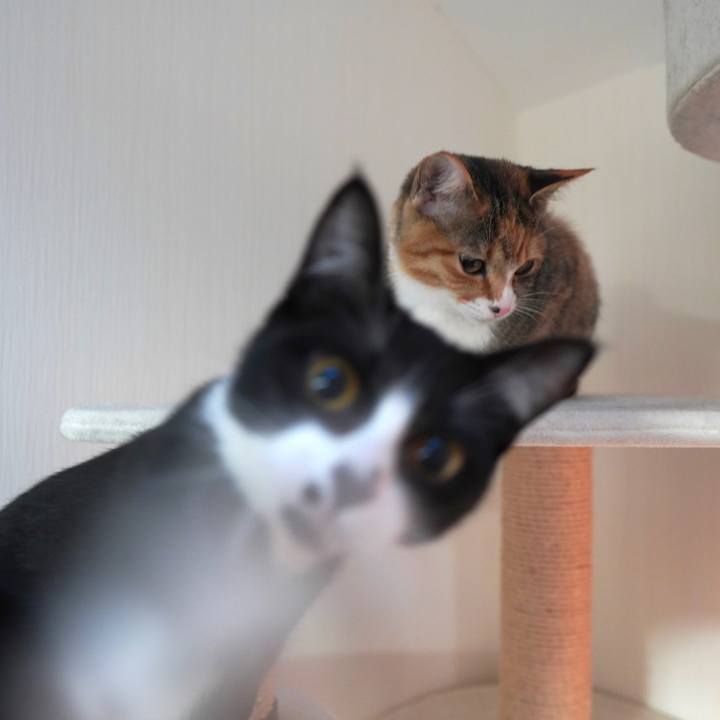 F1f1a17e 8abd 45ac 8ee1 0824637e44e1 1582843361965