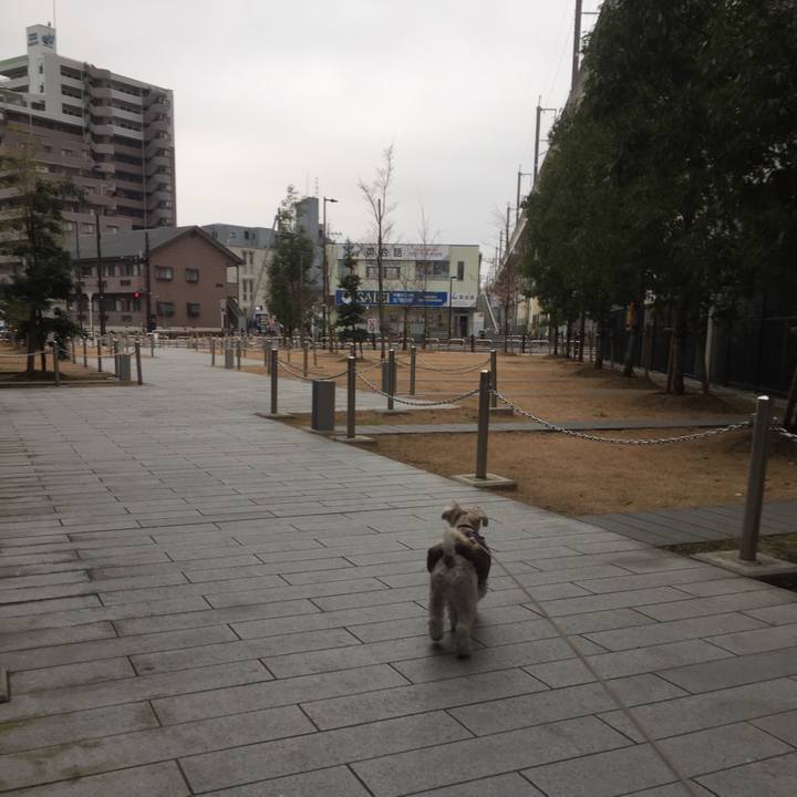 F1f1a386 cd8f 478c a936 ff850d423712 1514713387393