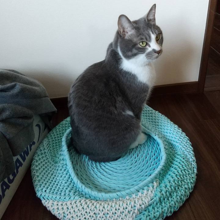 F1f1a531 9b68 4342 9078 45917bb98403 1646463555671