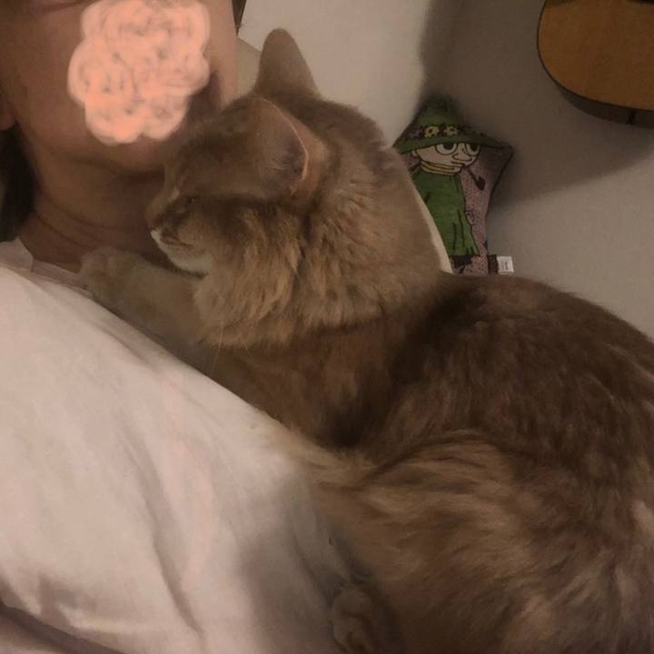 F1f1b038 8f23 47c7 9c7b 75099bdca7bb 1594020800717