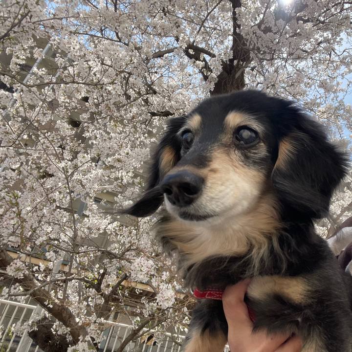 F1f1dcb2 e234 4731 b2f6 90afe8ab9f02 1743686056802