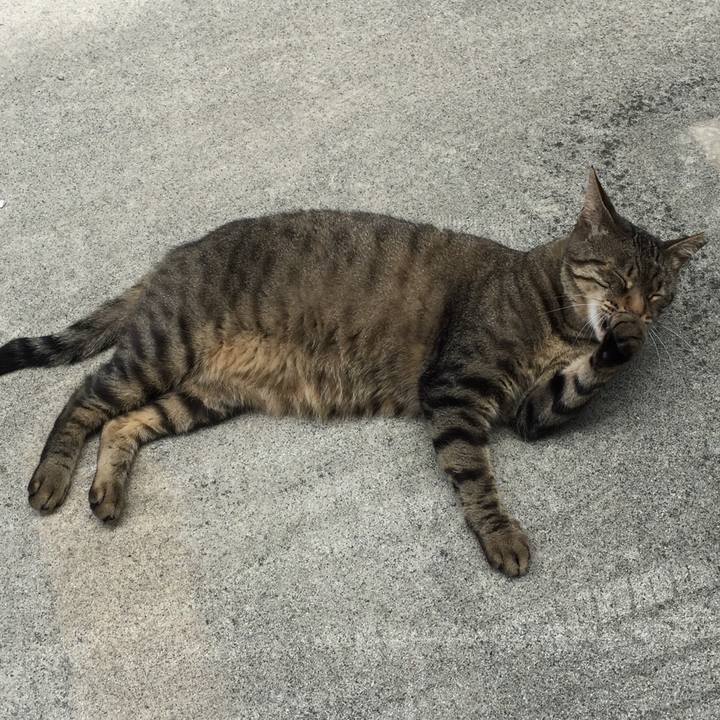 F1f1dfb2 b9d4 4bb6 b707 86edb204e57c 1544430781363