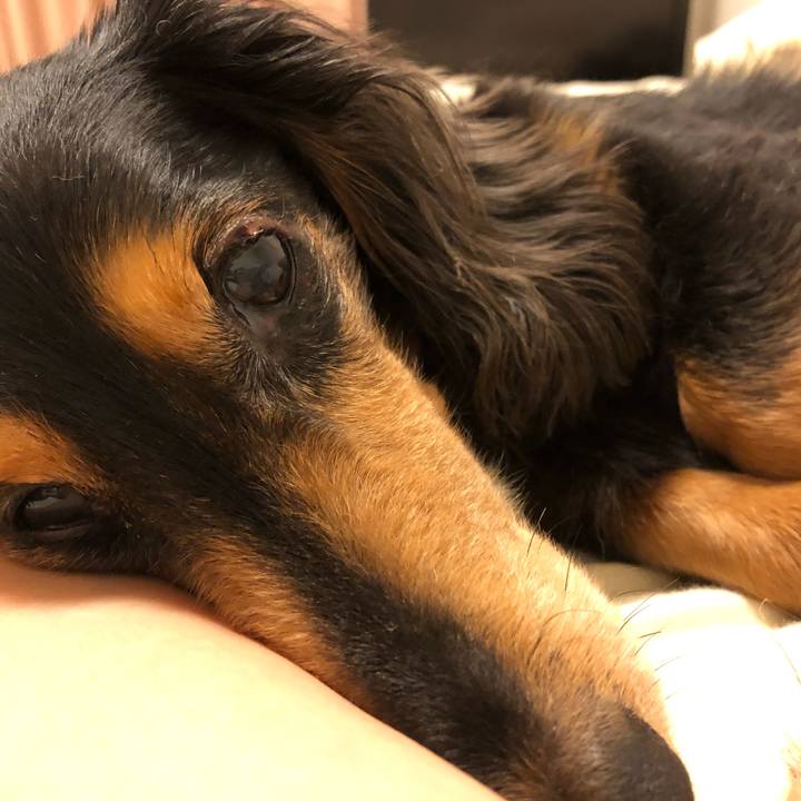 F1f1edf0 4381 42d5 8b39 116335ce1011 1559308088551