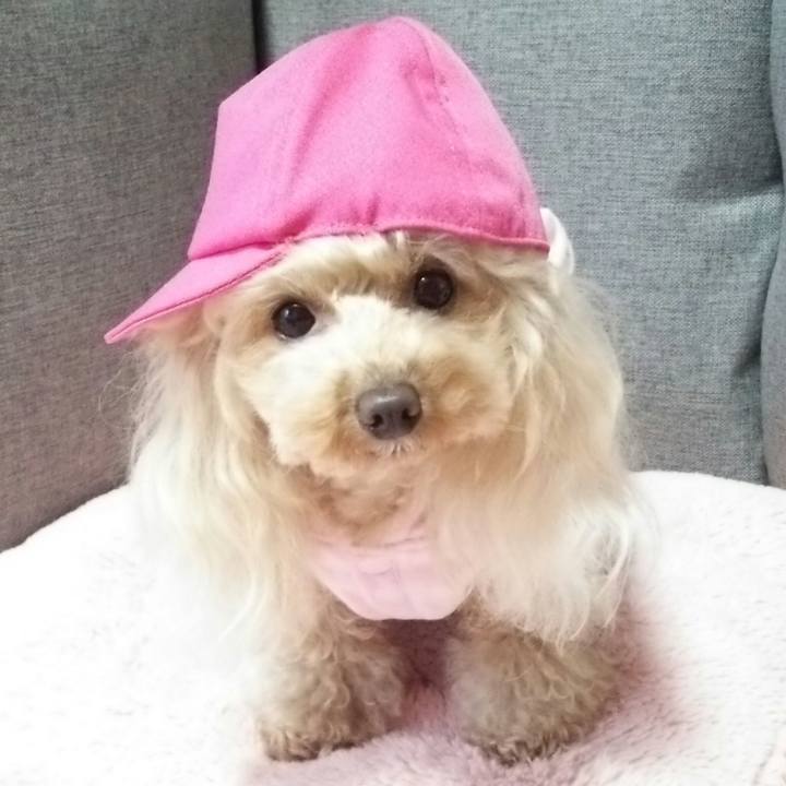 F1f222d2 5788 4755 b8a4 74a061e8a8c1 1550650695349