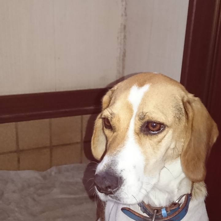 F1f2378c 5093 42d3 bf00 e0985fbdde61 1569310762388