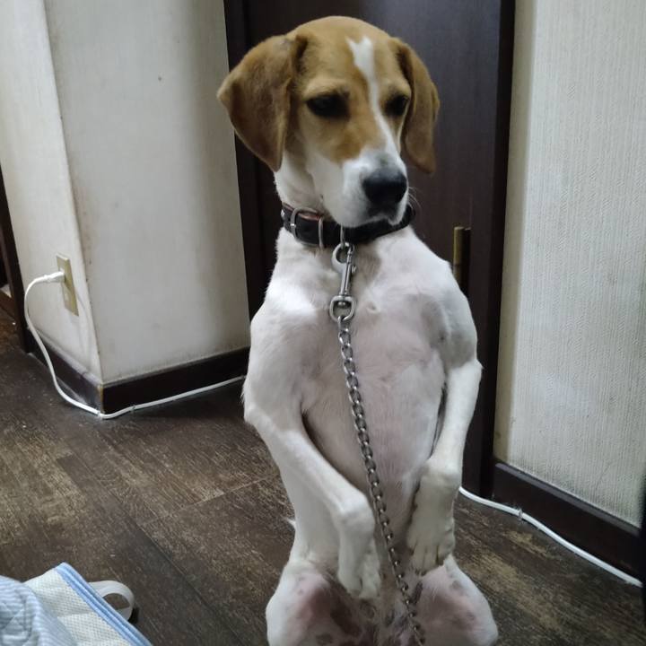 F1f24409 82de 40b1 b481 a6ce481f45ba 1626605889988