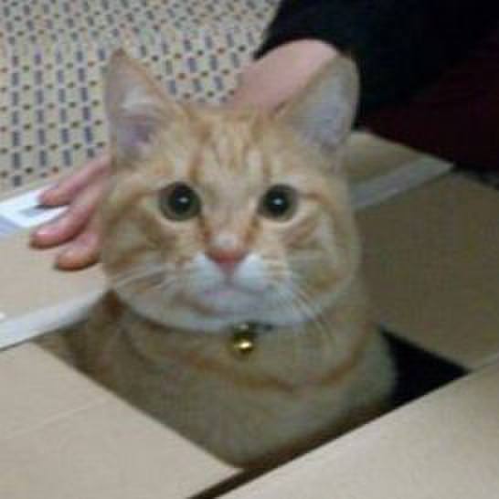 F1f248aa 6577 49bf a317 a9f7c8ca9abd 1525651978952