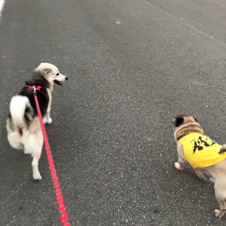 F1f270f9 8a31 4829 9d71 a1d9239bd478 1575113898488