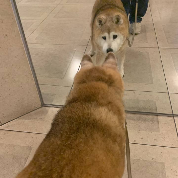 F1f2717a fd41 4924 9f58 e3722320ca8e 1672393538638