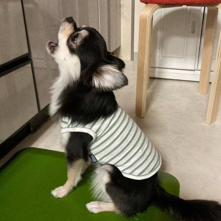 F1f29e06 4952 4c4f 8014 476f49175703 1619271414168