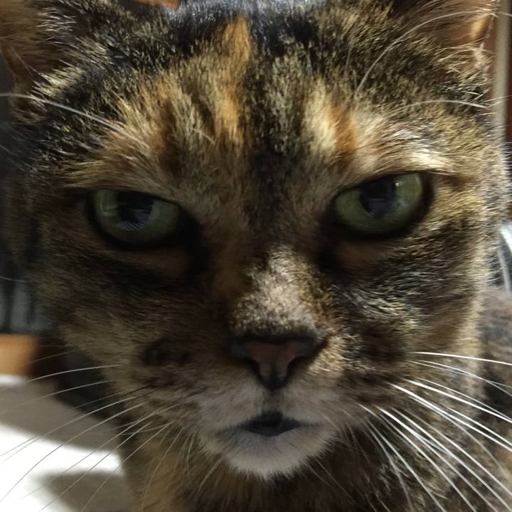 F1f2a28c 35f3 483d b953 c5745c75d763 1576662636172