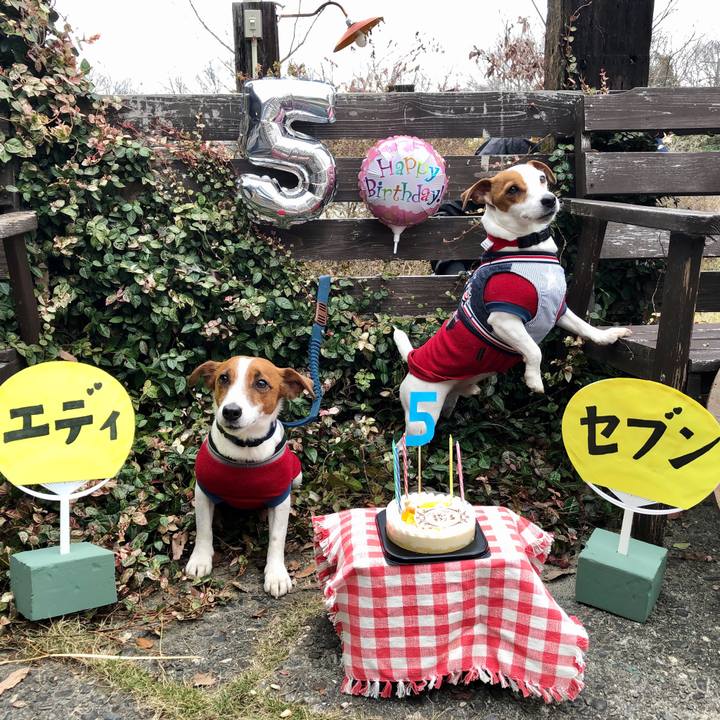 F1f2c386 7bca 4a96 96ad 5267a4cf5c7b 1615119014186