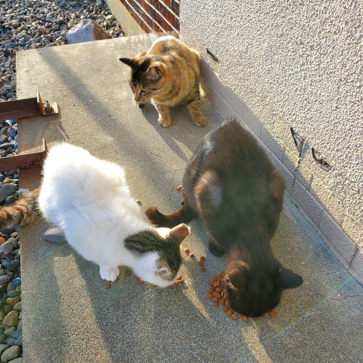 F1f2c6fc 8c90 40f3 9df8 ff55acbf0dbd 1697554922123