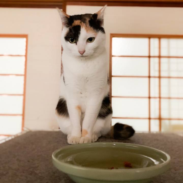 F1f2d259 77fd 40d6 aabf 1806d7e7b575 1577847242044