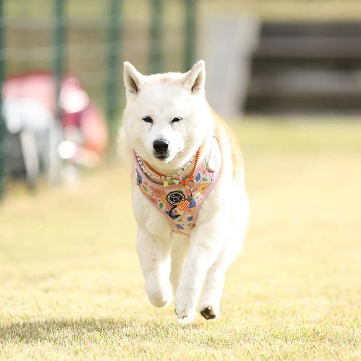 F1f3025b 1c65 4300 bc0c e044361e487e 1698412196338