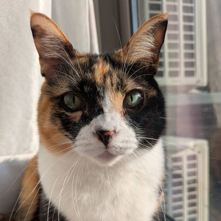 F1f30c50 f3a6 4d83 b255 4f391c7015e8 1774136977700