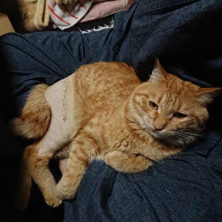 F1f33dac aa76 40d0 b2cb 8947f0510578 1654256293801