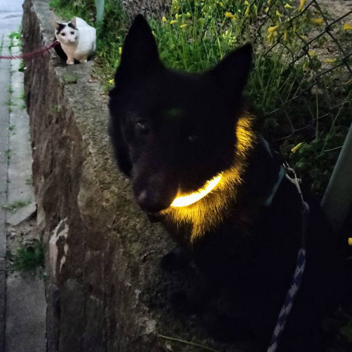 F1f35303 fe31 47e6 8fb0 c36b9adb9af5 1712060278516