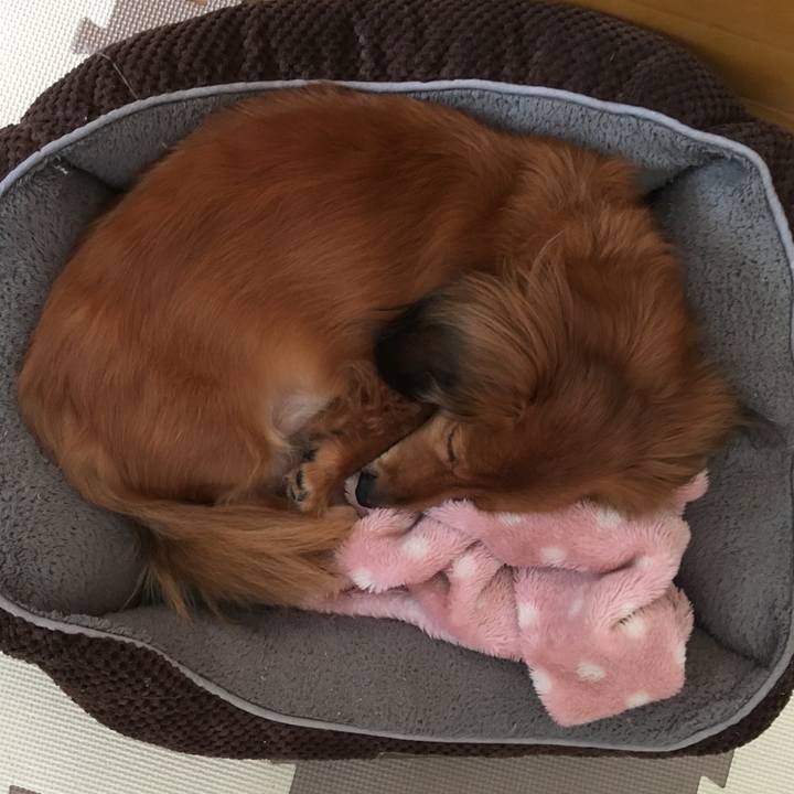 F1f37619 bdf9 4165 a81a 9e42db3b8115 1511476892609