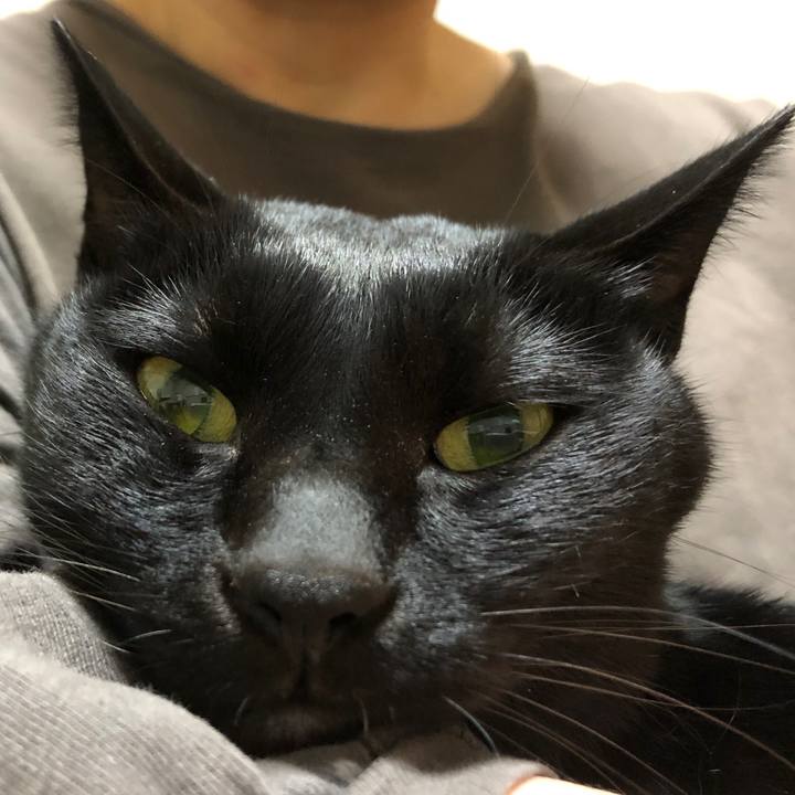 F1f37c26 5002 4eda a136 efc45a89329f 1698847399520